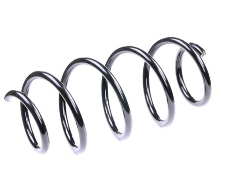 Ridex 188C0296 Coil Spring