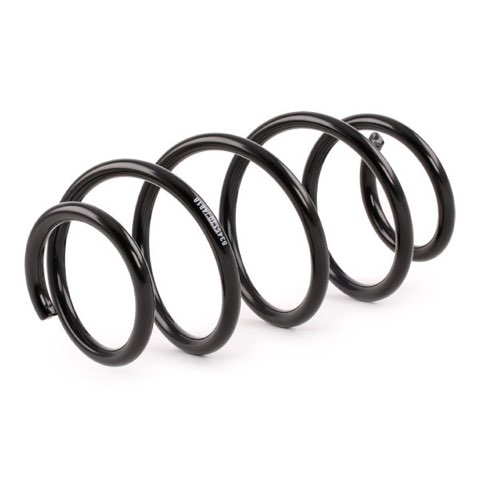 Ridex 188C0296 Coil Spring, photo 3