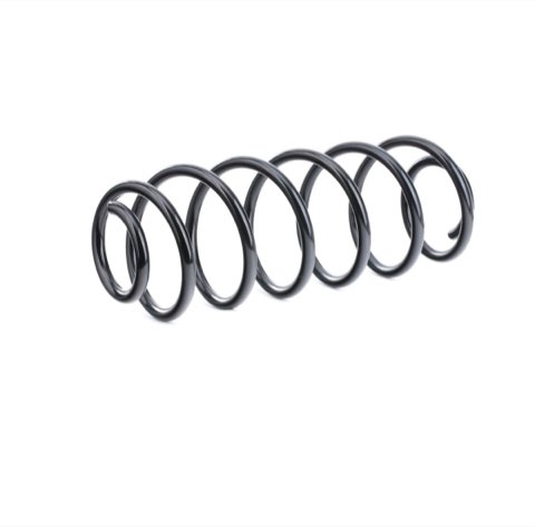 Ridex 188C0297 Coil Spring