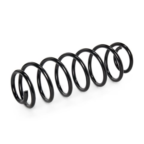 Ridex 188C0297 Coil Spring, photo 3