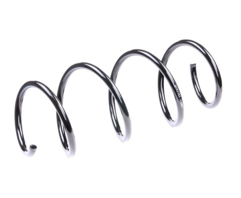 Ridex 188C0306 Coil Spring