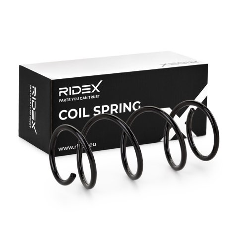 Ridex 188C0306 Coil Spring, photo 2