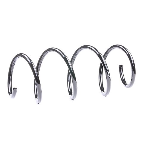 Ridex 188C0306 Coil Spring, photo 3