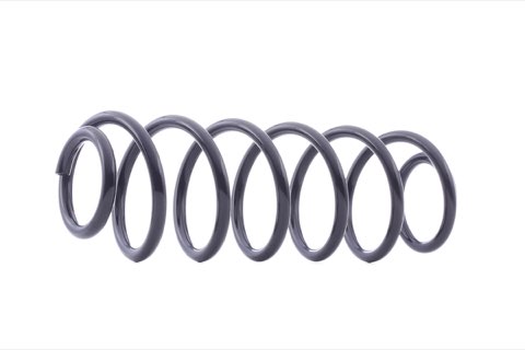 Ridex 188C0308 Coil Spring