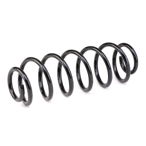 Ridex 188C0308 Coil Spring, photo 3