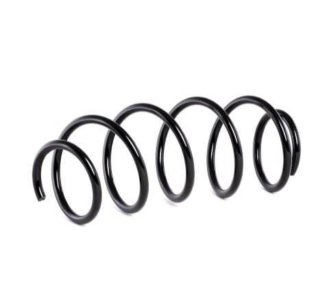 Ridex 188C0311 Coil Spring