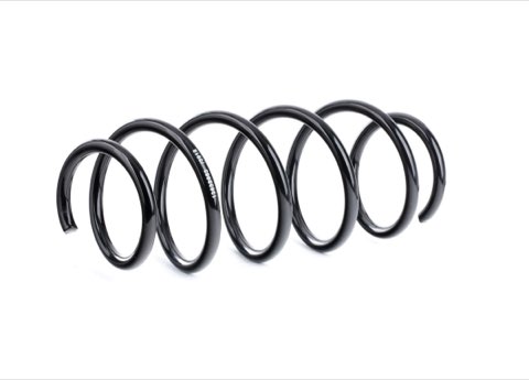 Ridex 188C0313 Coil Spring