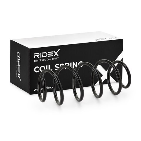 Ridex 188C0313 Coil Spring, photo 2