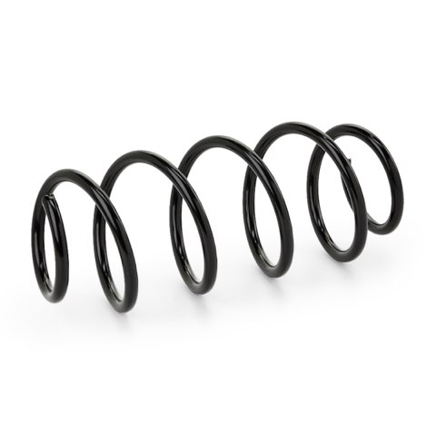 Ridex 188C0313 Coil Spring, photo 3