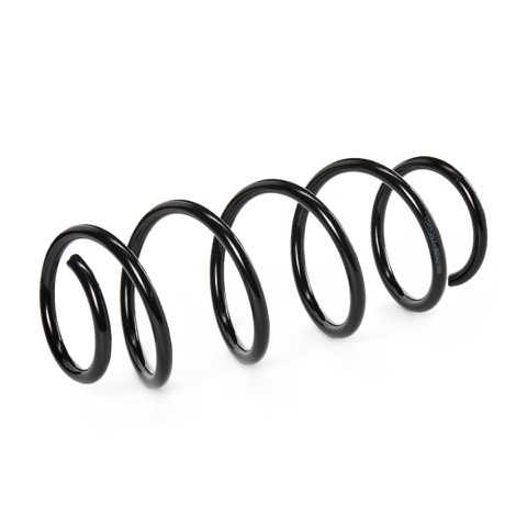 Ridex 188C0316 Coil Spring, photo 3