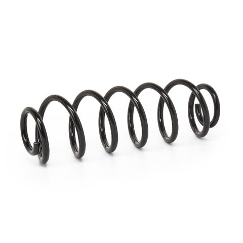 Ridex 188C0317 Coil Spring, photo 2