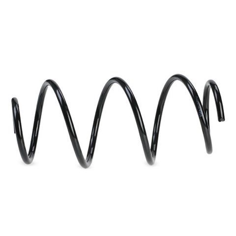 Ridex 188C0323 Coil Spring, photo 3