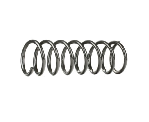 Ridex 188C0331 Coil Spring