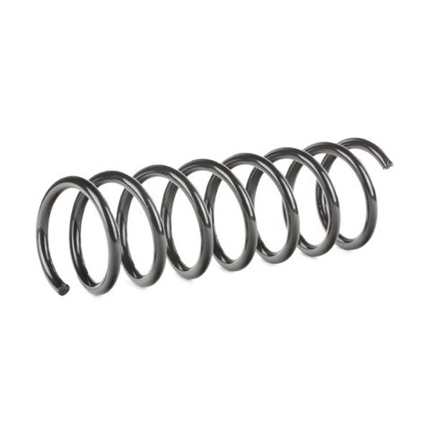 Ridex 188C0331 Coil Spring, photo 3