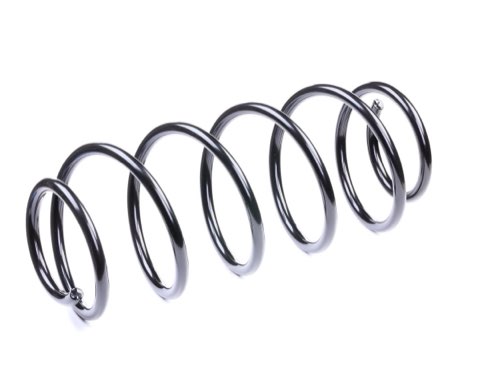 Ridex 188C0332 Coil Spring