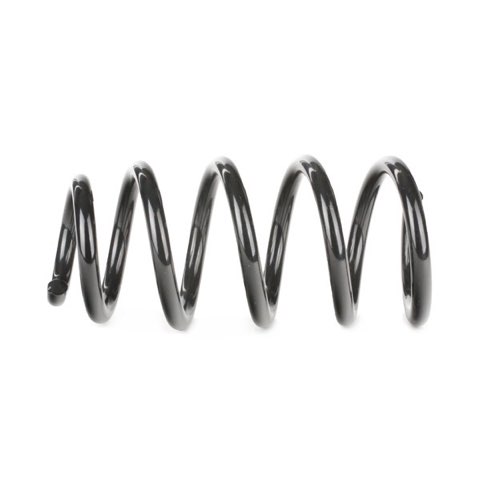 Ridex 188C0339 Coil Spring, photo 3