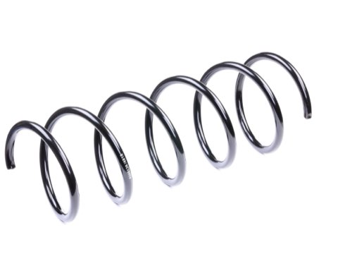 Ridex 188C0341 Coil Spring