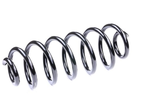 Ridex 188C0343 Coil Spring