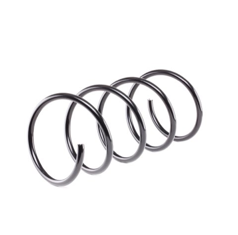 Ridex 188C0344 Coil Spring