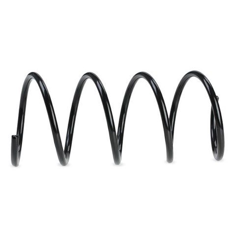 Ridex 188C0344 Coil Spring, photo 3