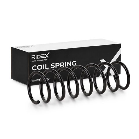 Ridex 188C0348 Coil Spring, photo 2