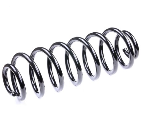 Ridex 188C0353 Coil Spring
