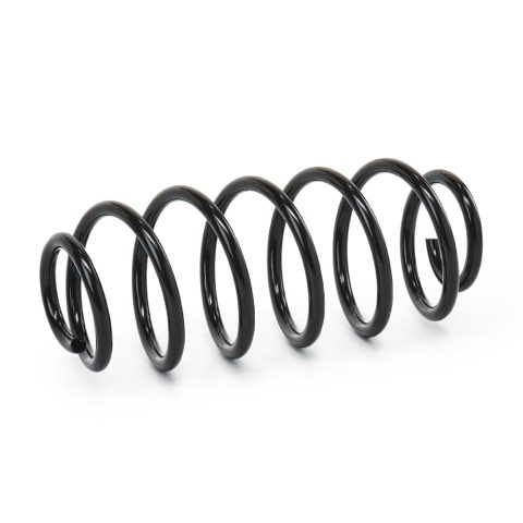 Ridex 188C0355 Coil Spring, photo 3