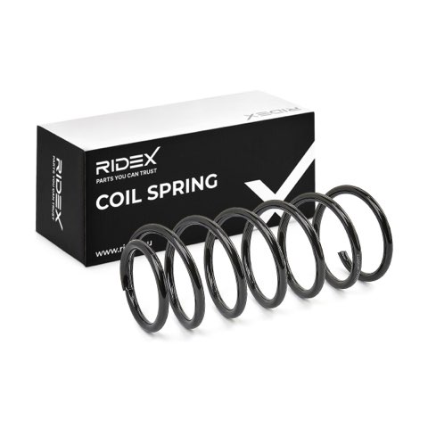 Ridex 188C0356 Coil Spring, photo 2