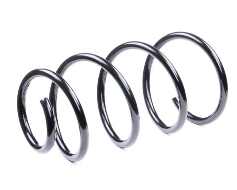 Ridex 188C0357 Coil Spring