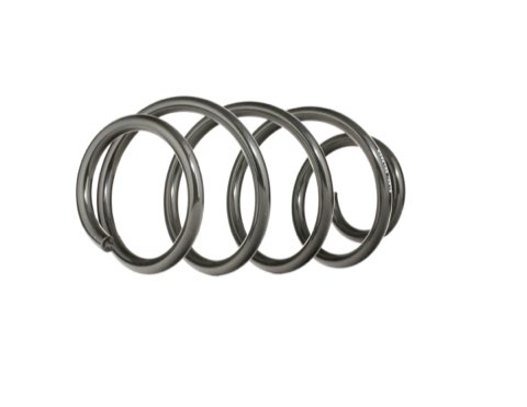 Ridex 188C0364 Coil Spring