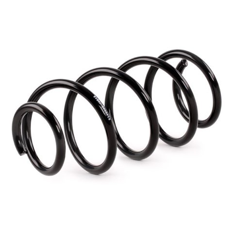 Ridex 188C0364 Coil Spring, photo 3