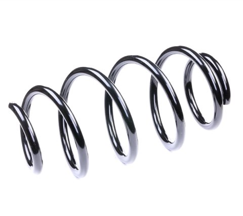Ridex 188C0365 Coil Spring