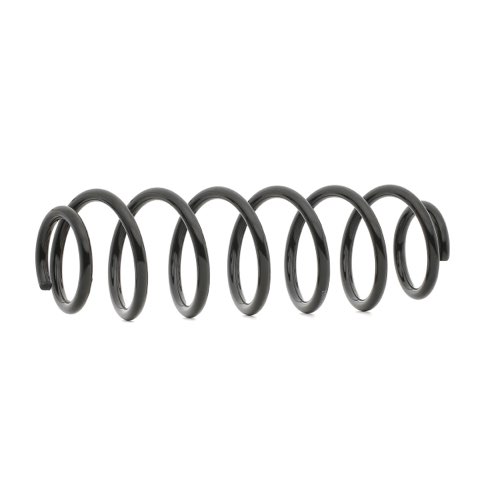 Ridex 188C0366 Coil Spring