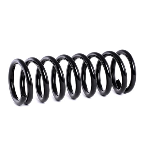 Ridex 188C0368 Coil Spring