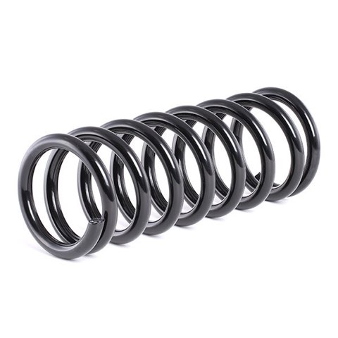 Ridex 188C0368 Coil Spring, photo 3