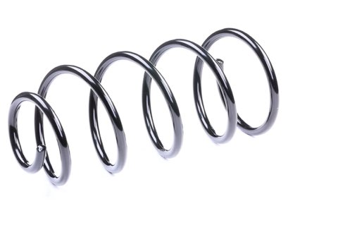 Ridex 188C0370 Coil Spring