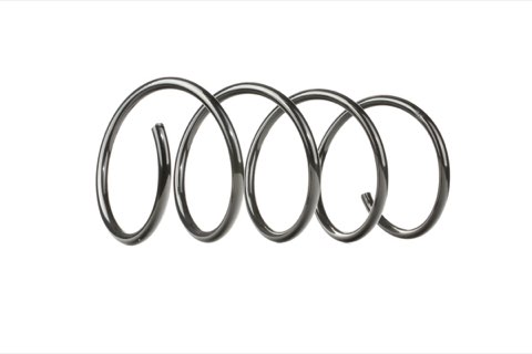 Ridex 188C0371 Coil Spring