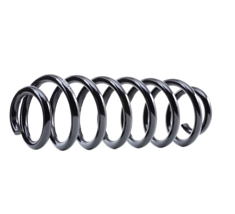 Ridex 188C0377 Coil Spring