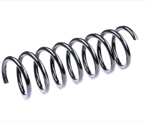 Ridex 188C0379 Coil Spring