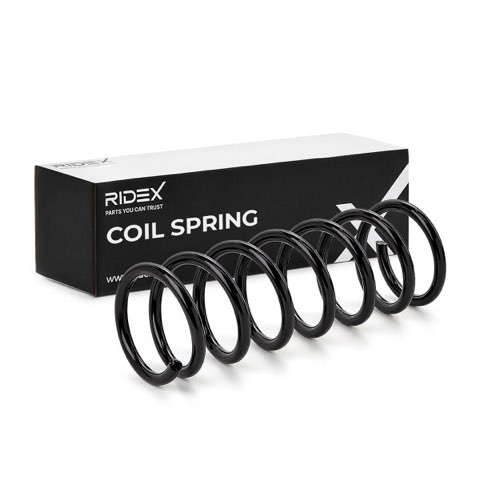 Ridex 188C0379 Coil Spring, photo 2