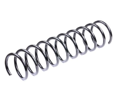 Ridex 188C0382 Coil Spring