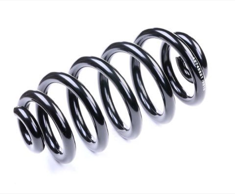 Ridex 188C0386 Coil Spring