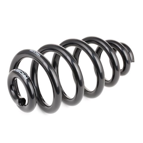 Ridex 188C0386 Coil Spring, photo 3