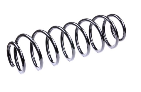 Ridex 188C0387 Coil Spring