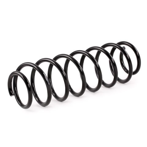 Ridex 188C0387 Coil Spring, photo 3