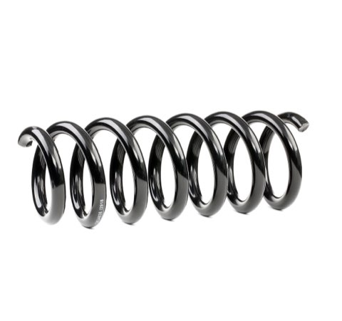 Ridex 188C0388 Coil Spring