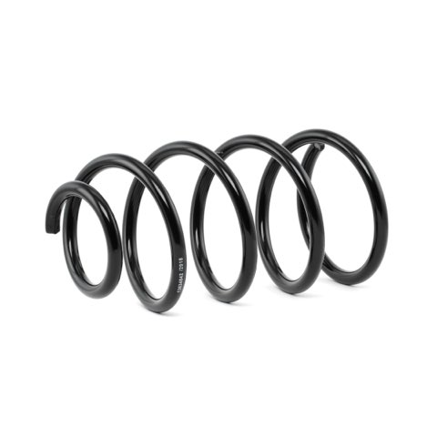 Ridex 188C0392 Coil Spring
