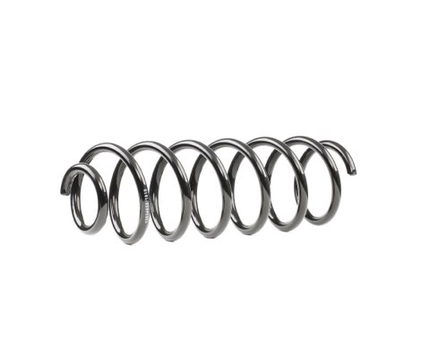Ridex 188C0397 Coil Spring