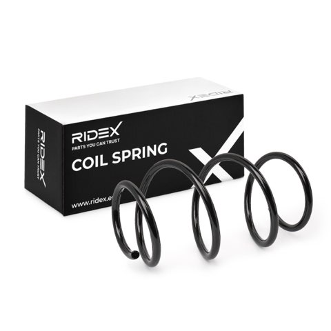 Ridex 188C0401 Coil Spring, photo 2