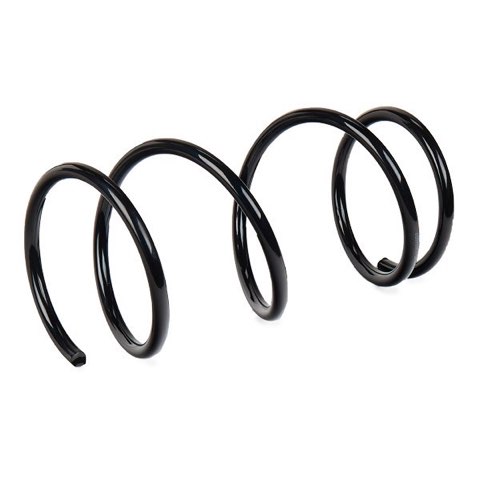 Ridex 188C0404 Coil Spring, photo 3
